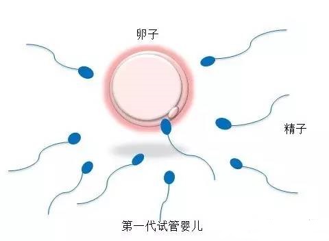 关于冰原生殖